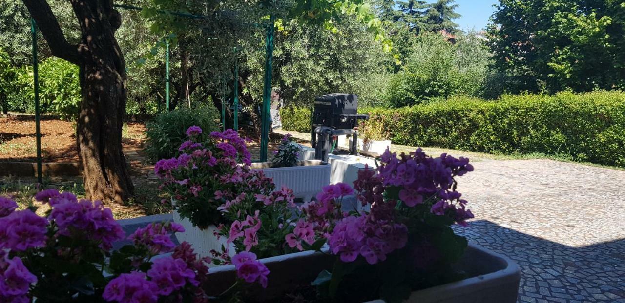 Clara 3 Apartman Poreč Kültér fotó
